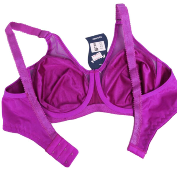 Paniz Womens Bra Model 22200 PU Purple Color 4