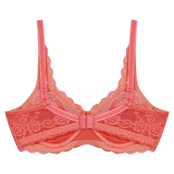 Paniz Womens Bra with Lace and Underwire Code 66365 new Pink Color 4
