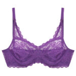 Paniz Womens Bra with Lace and Underwire Code 66365 new Purple Color 1