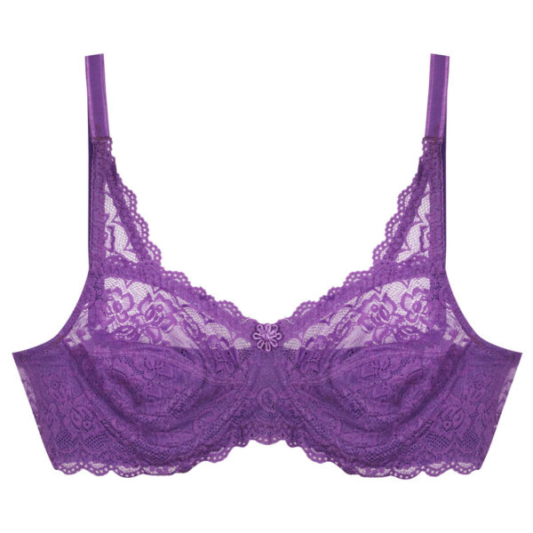 Paniz Womens Bra with Lace and Underwire Code 66365 new Purple Color 1