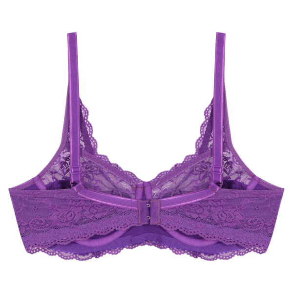 Paniz Womens Bra with Lace and Underwire Code 66365 new Purple Color 2