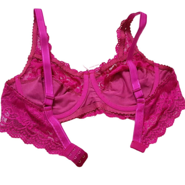 Paniz Womens Bra with Lace and Underwire Code new 66365 Fuchsia Color 4