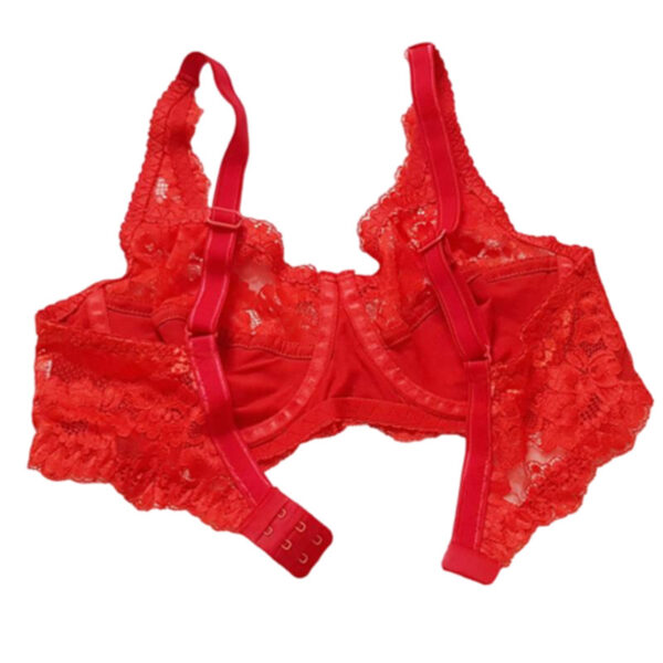 Paniz Womens Bra with Lace and Wire Model new 66365 Red 3