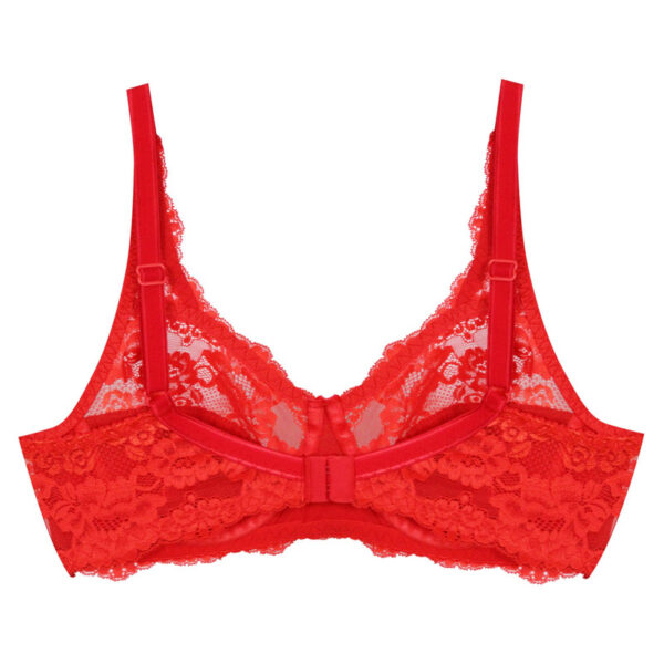 Paniz Womens Bra with Lace and Wire Model new 66365 Red 5