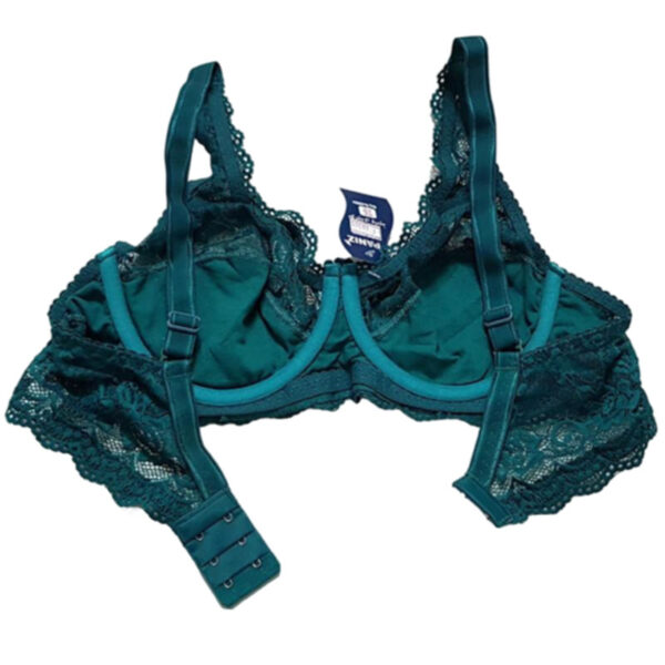 Paniz Womens Bra with Lace and Wire Model new 66365 Teal 2