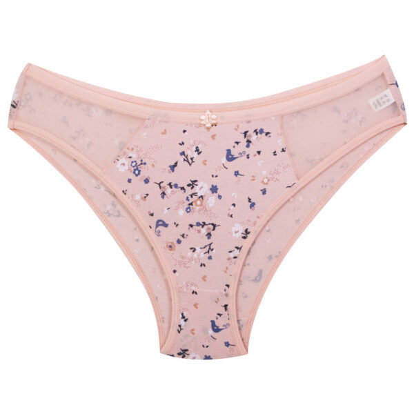 Paniz Womens Underwear Set Model 9046 Pink 4