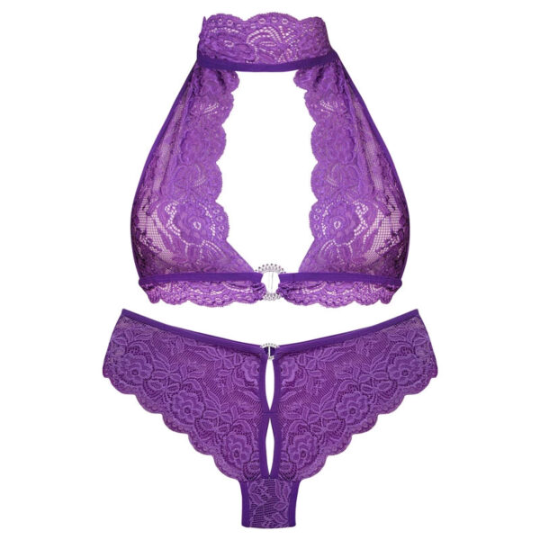 Paniz Womens Underwear Set Wirefree Hipster Code 9035 Purple 1