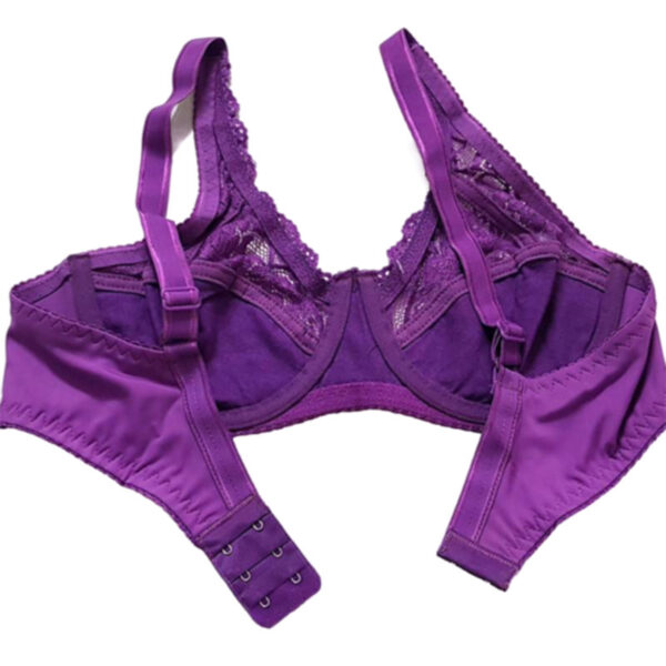 Paniz womens bra guipure model with spring code 66364 new purple color 4