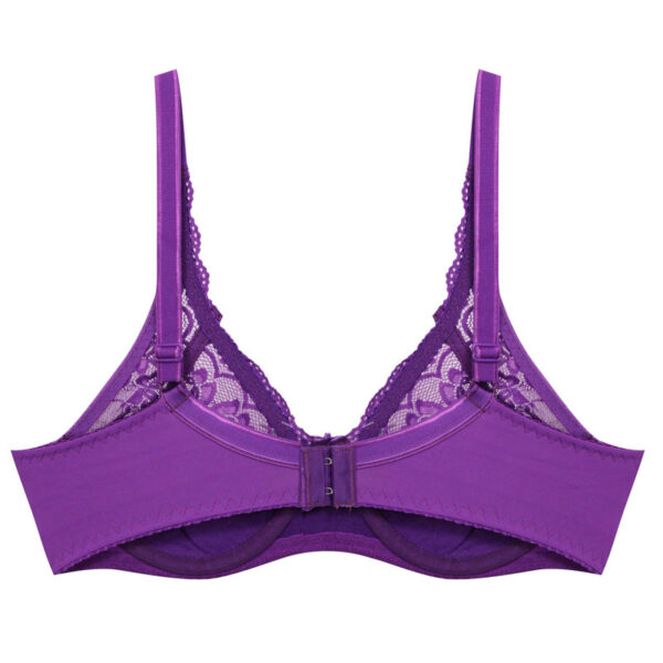Paniz womens bra guipure model with spring code 66364 new purple color 5