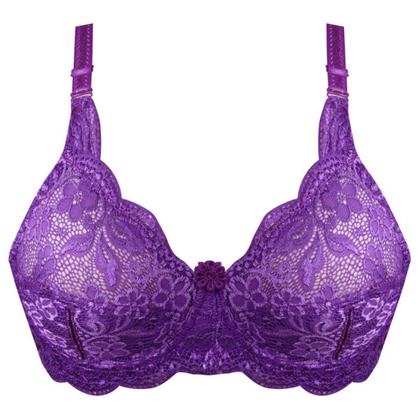 paniz model 66301 Purple womens bra 1